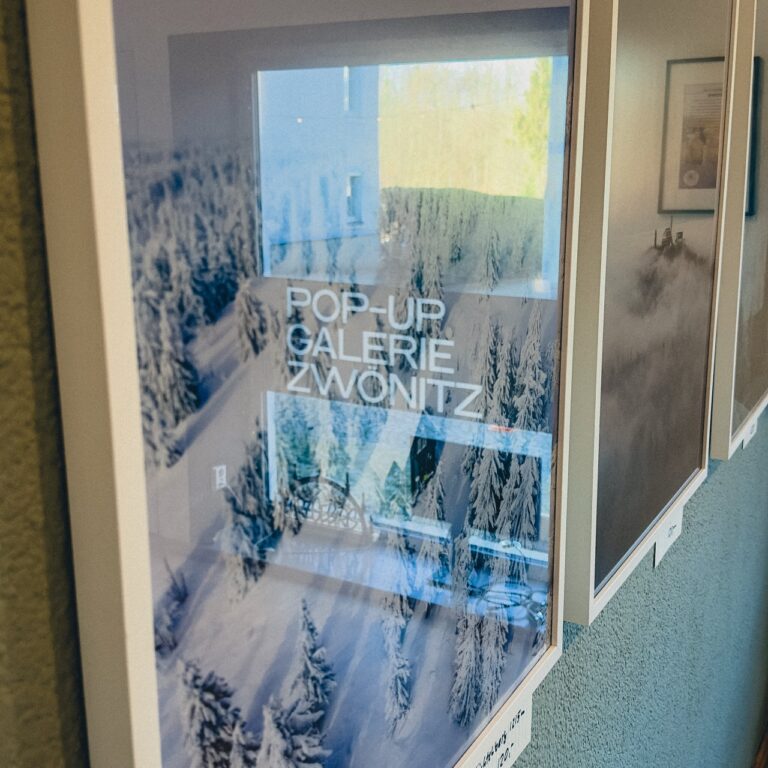 Pop-up Galerie-Web-2